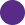 Success icon
